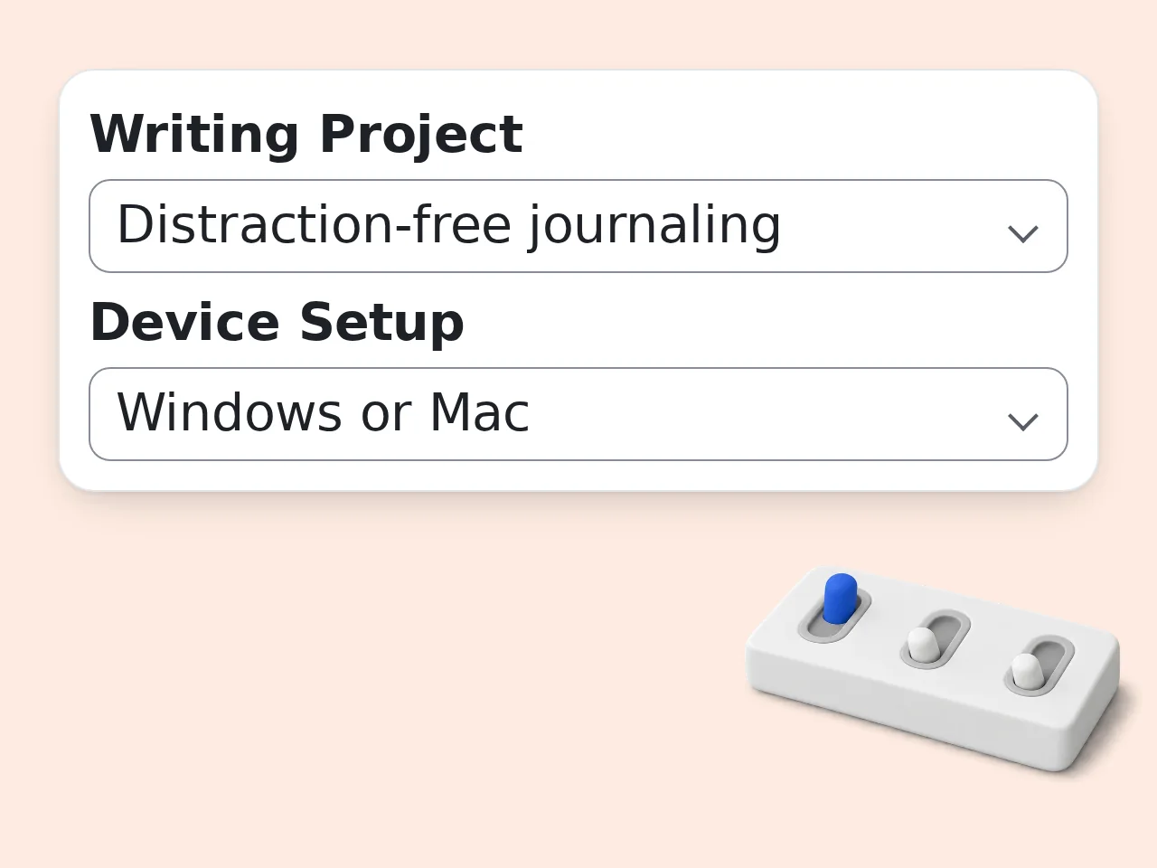 Describe your writing project